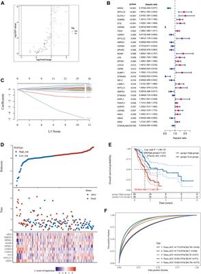 Machine learning-enhanced insights into sphingolipid-based prognostication: revealing the immunological landscape and predictive proficiency for immunomotherapy and chemotherapy responses in pancreatic carcinoma